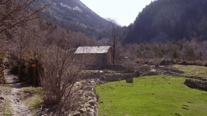 Viu una aventura a Ràmio