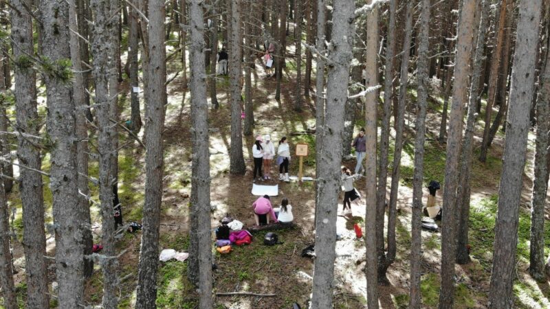 Prop d’un centenar d’alumnes coneixen el laboratori forestal a cel obert de Beixalís