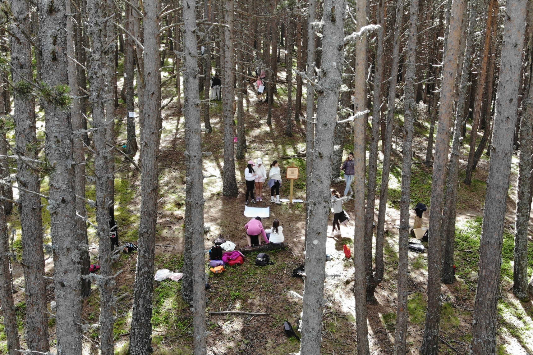 Prop d’un centenar d’alumnes coneixen el laboratori forestal a cel obert de Beixalís