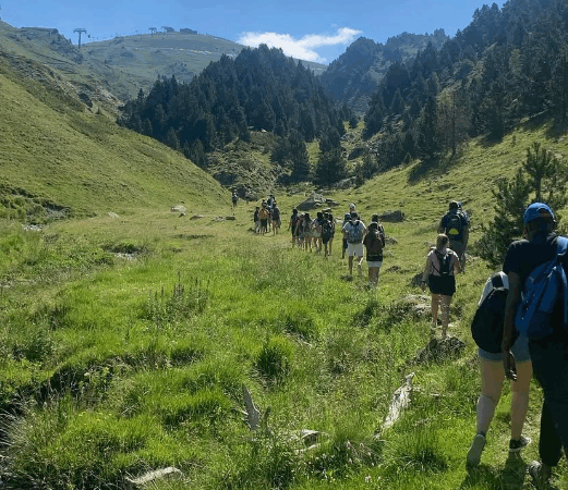 Les activitats d’estiu que tens al teu abast a Ordino