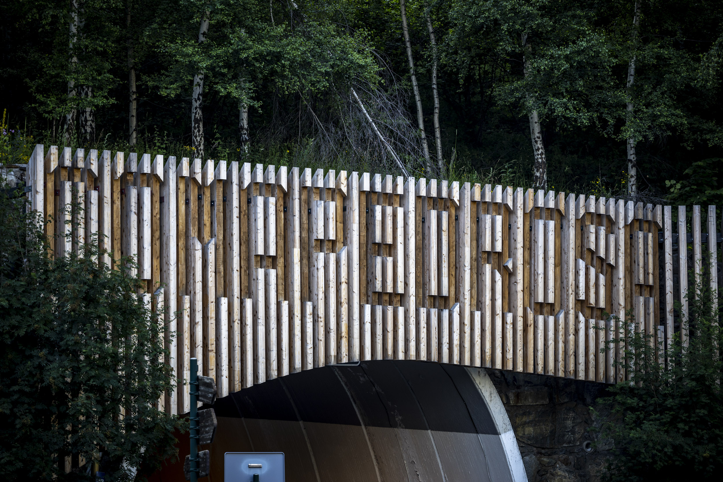 Descobreix les activitats d’estiu al Parc Natural del Comapedrosa