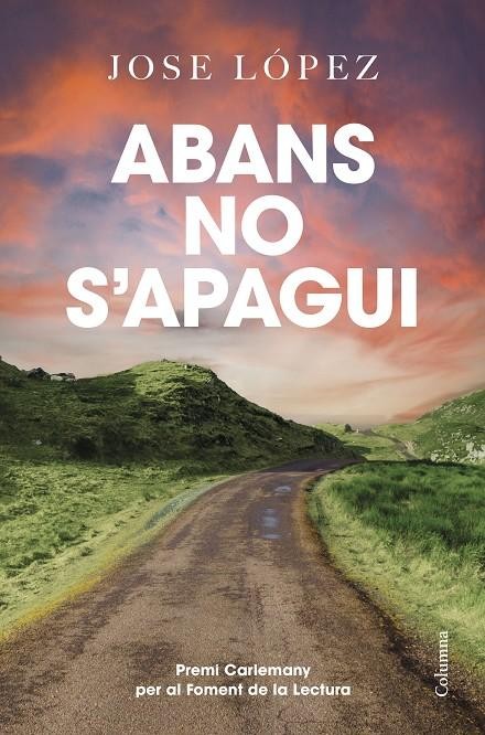 Abans no s’apagui: una novel·la sobre perdre, viatjar i créixer