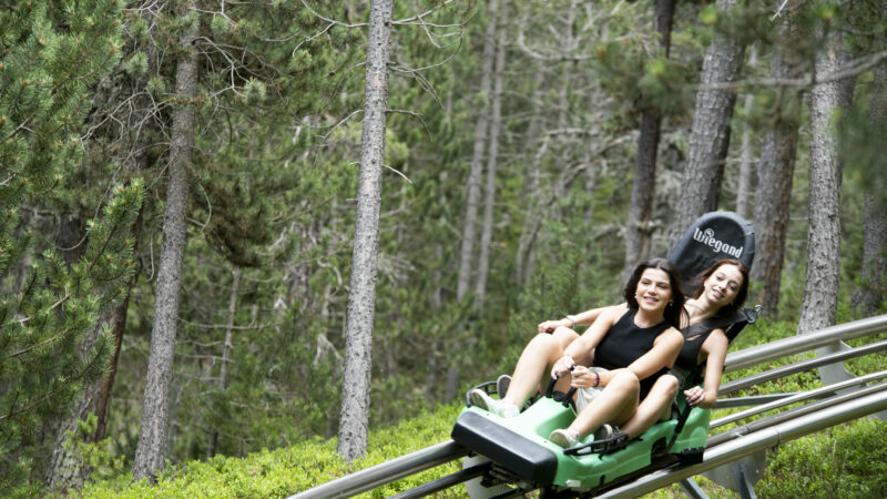 Tota l’oferta d’aquest estiu a Naturland