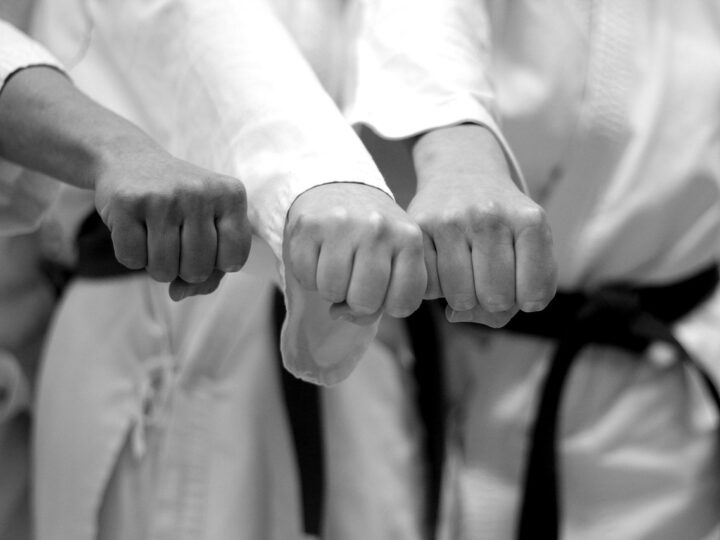 Interessat en el karate? A partir del setembre el podràs fer al LAUesport!