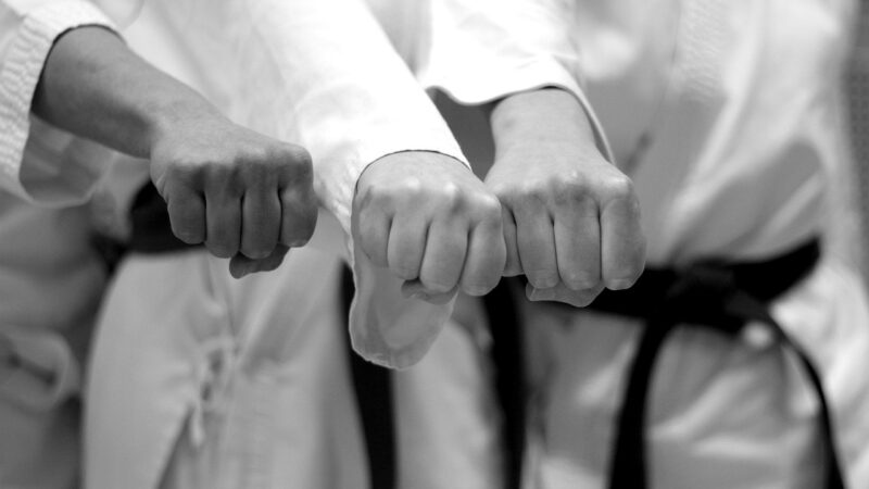Interessat en el karate? A partir del setembre el podràs fer al LAUesport!