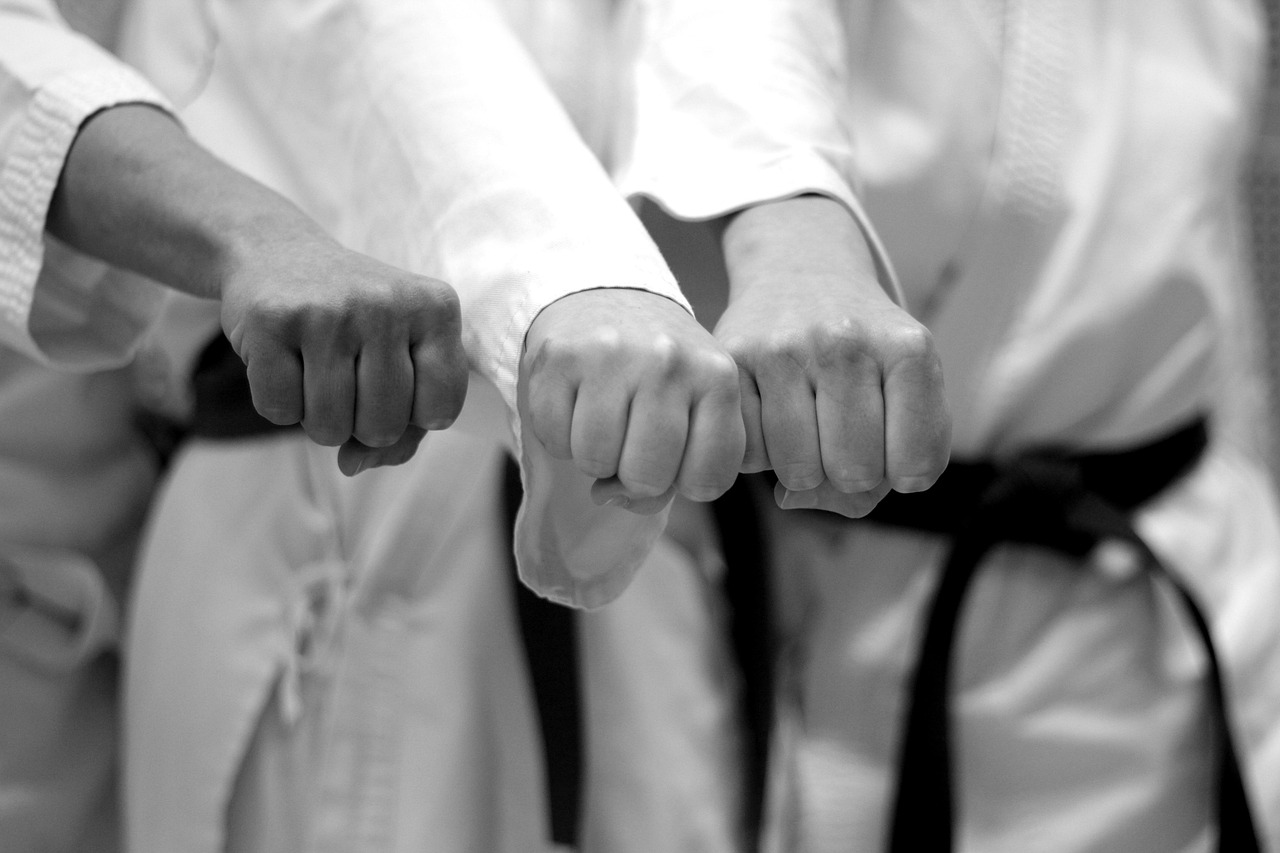 Interessat en el karate? A partir del setembre el podràs fer al LAUesport!
