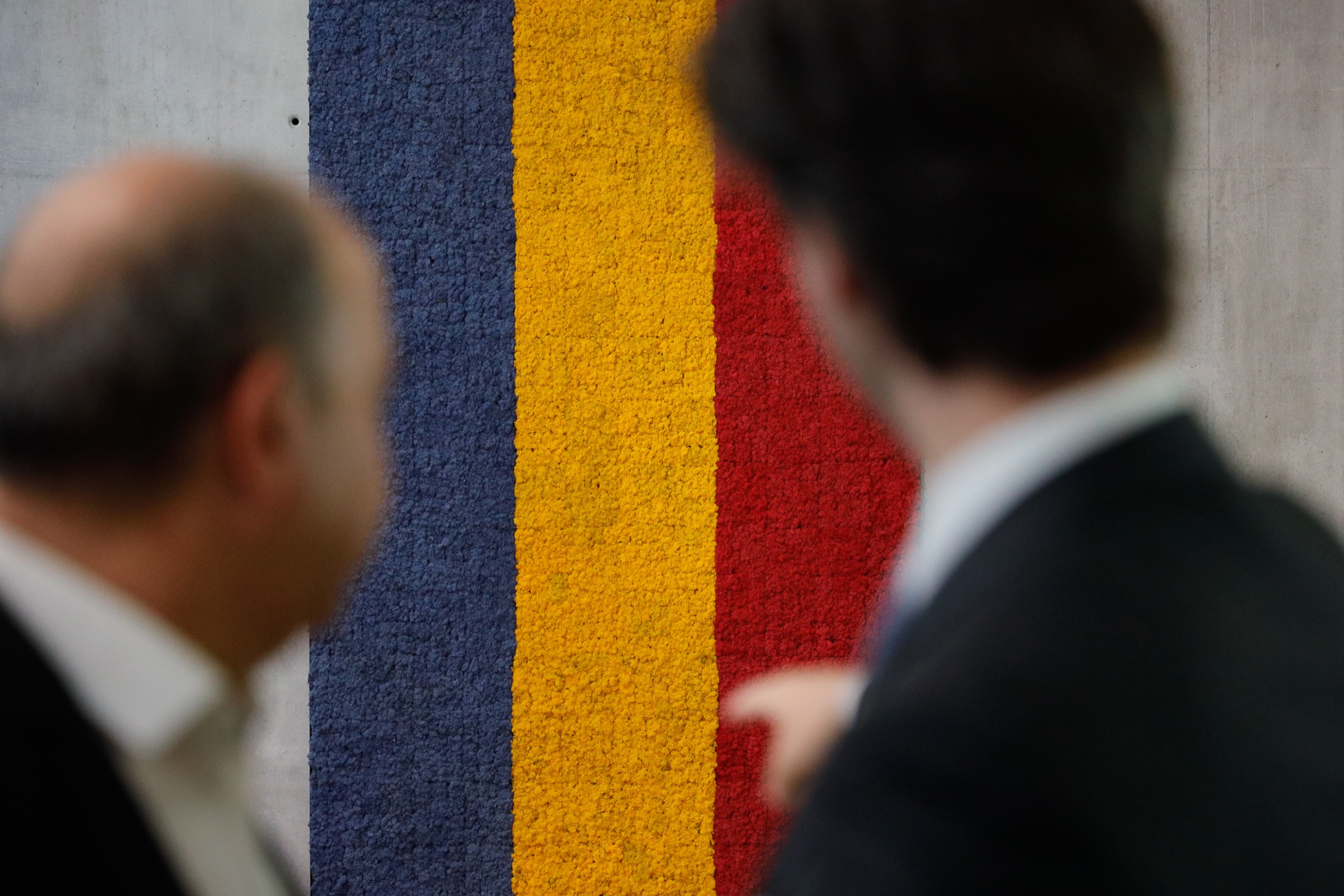 La molsa de Moles arriba al Consell General