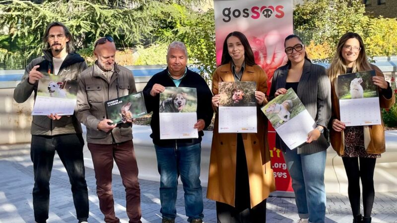 Els protagonistes del 2026 tenen cua: ajuda’ls amb el Calendari Solidari de GosSOS!