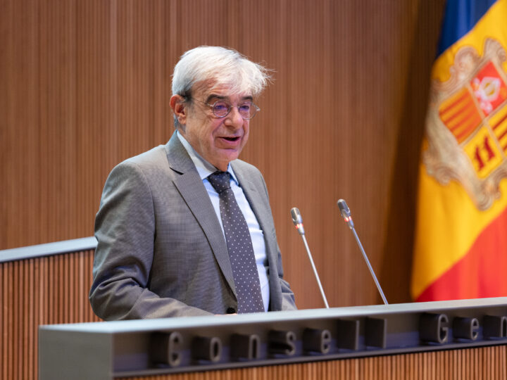 Unanimitat al Consell General per ordenar el mapa universitari