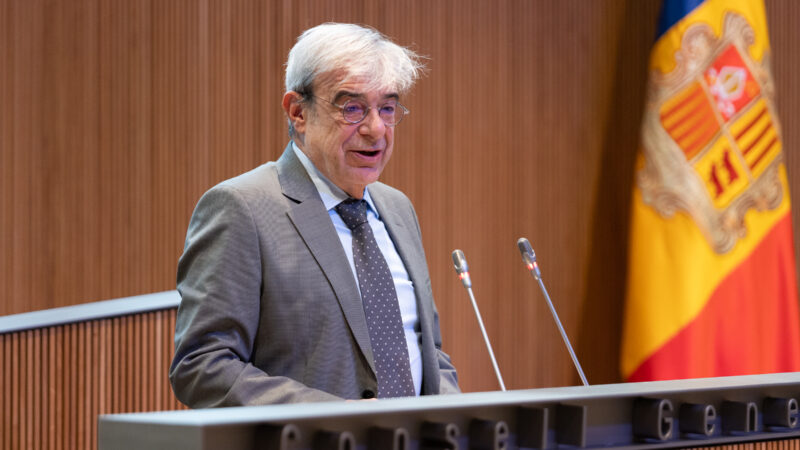 Unanimitat al Consell General per ordenar el mapa universitari