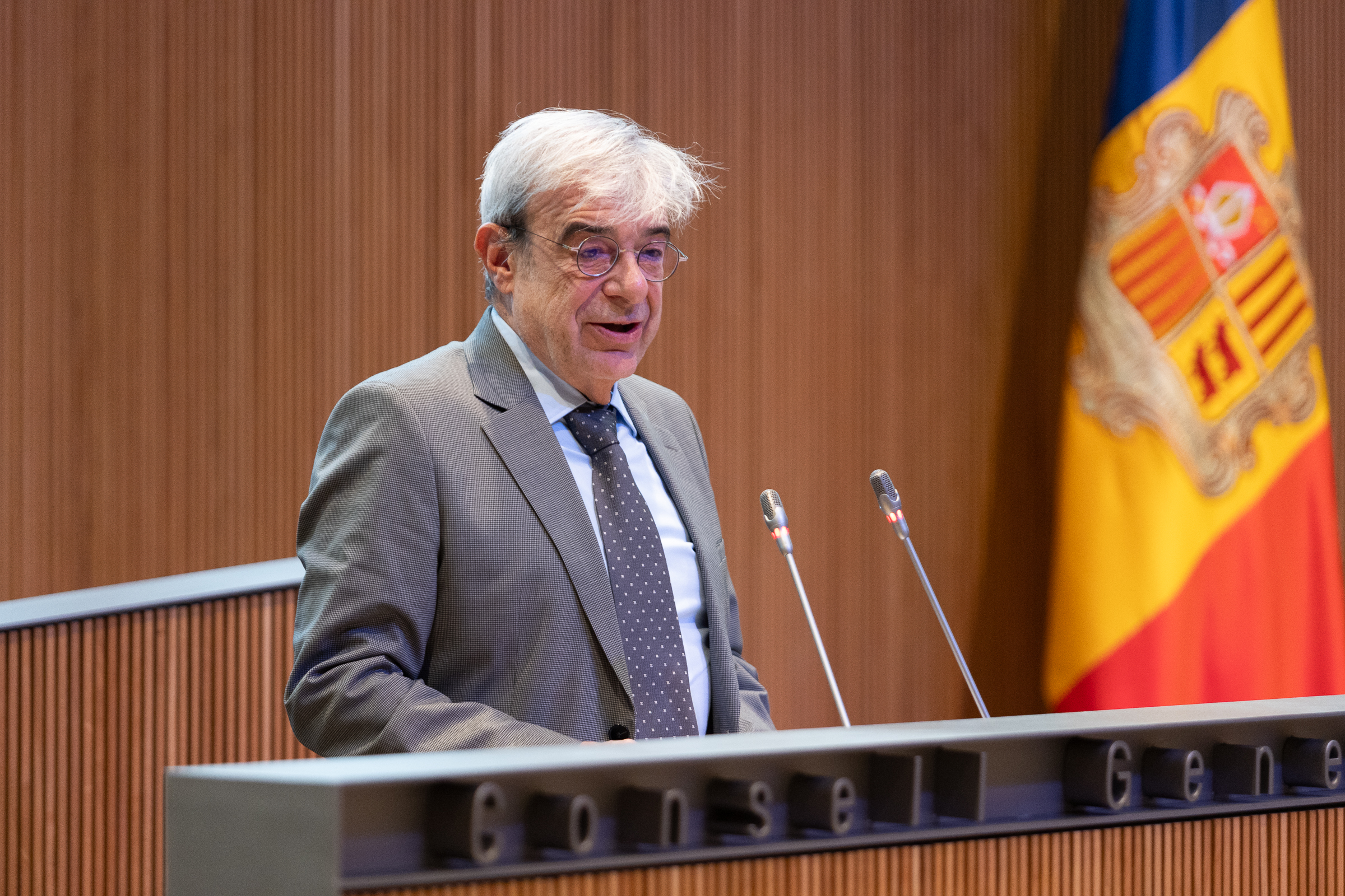 Unanimitat al Consell General per ordenar el mapa universitari