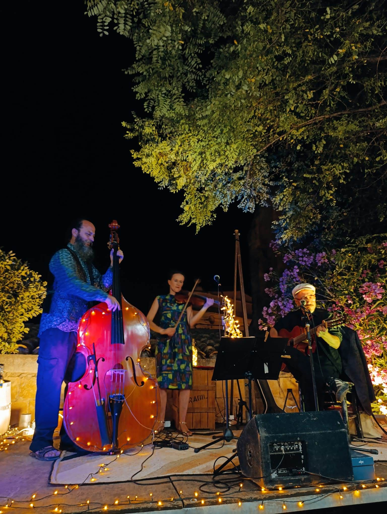 Gaudeix del swing a Ordino