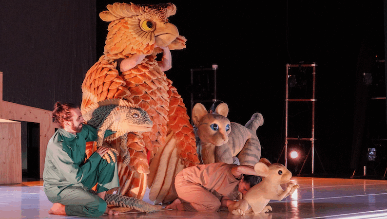 ‘La gata que volia canviar la història’ posa punt final a una edició d’èxit del Festival de Titelles