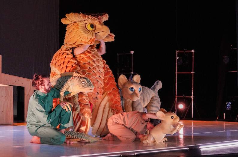 ‘La gata que volia canviar la història’ posa punt final a una edició d’èxit del Festival de Titelles