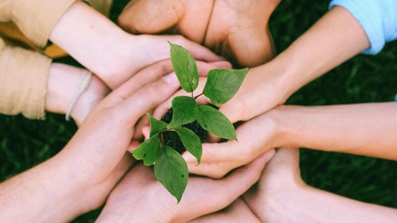 Coneix el voluntariat i els programes de cooperació internacional