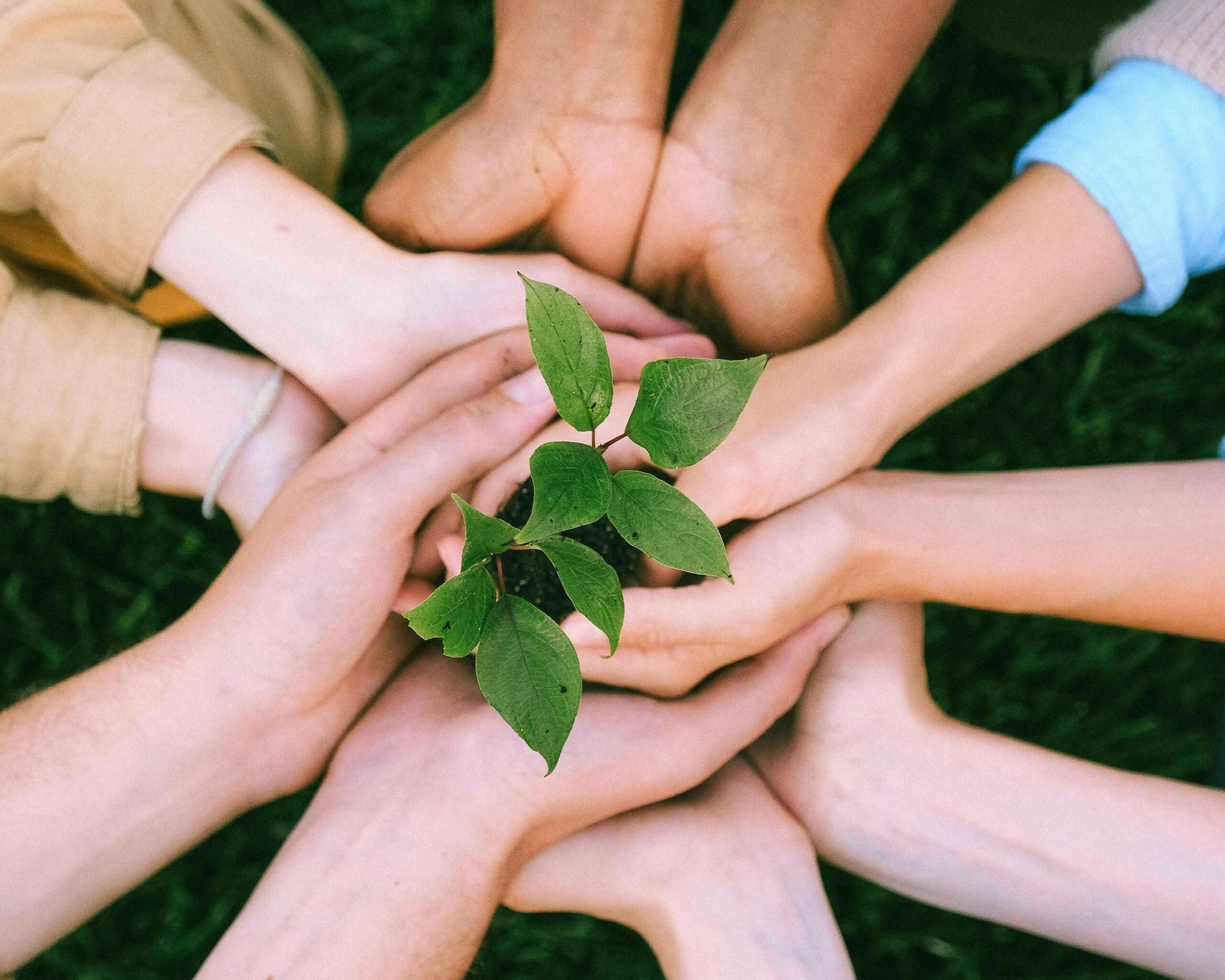 Coneix el voluntariat i els programes de cooperació internacional
