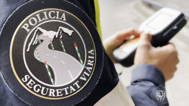 839 controls durant la campanya de Nadal