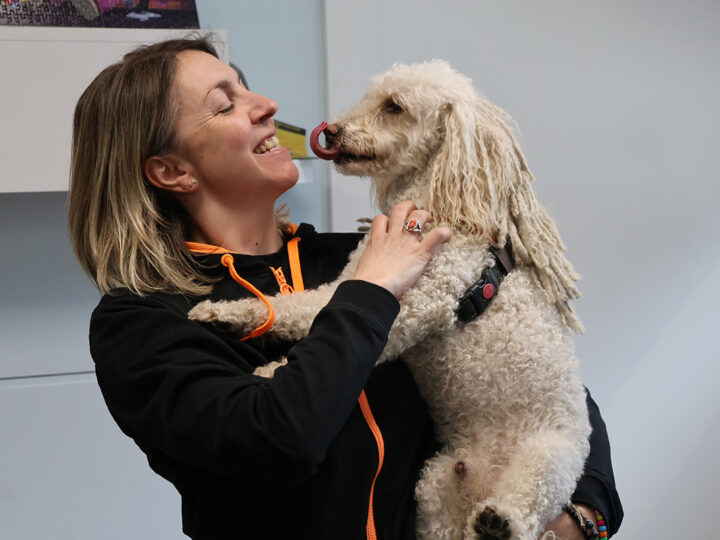 ‘Tequila’, el gos que acompanya joves a l’àrea de Salut Mental de l’hospital