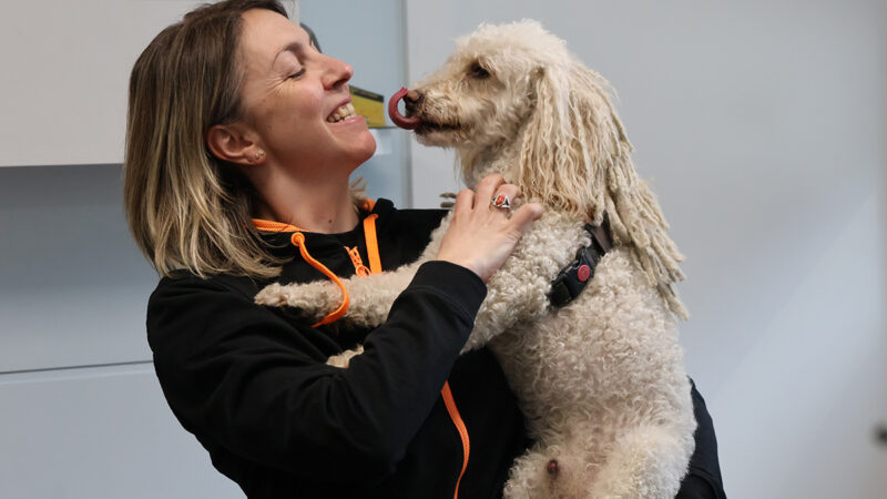 ‘Tequila’, el gos que acompanya joves a l’àrea de Salut Mental de l’hospital