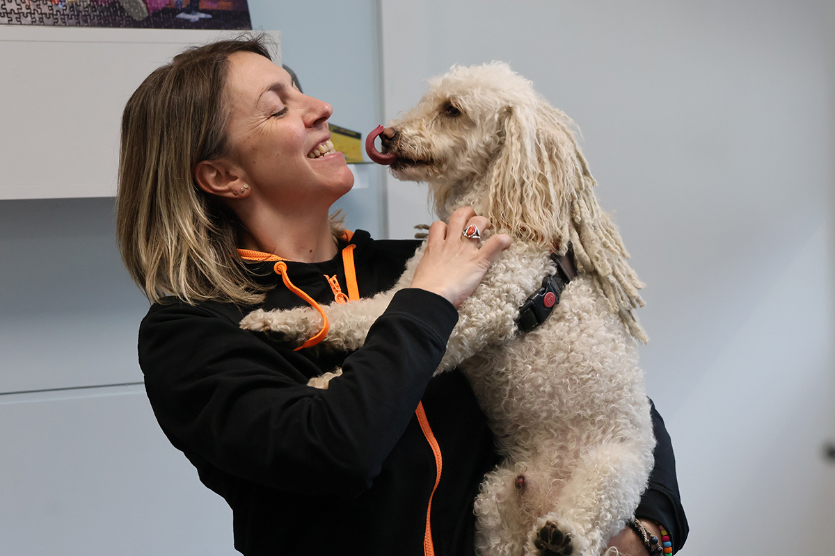 ‘Tequila’, el gos que acompanya joves a l’àrea de Salut Mental de l’hospital