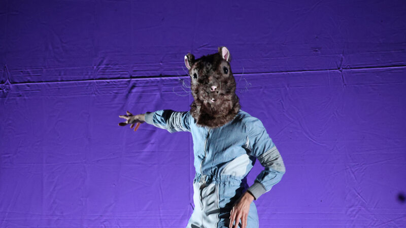 ‘Alma’: l’espectacle estrany i hipnòtic que ha passat per Encamp