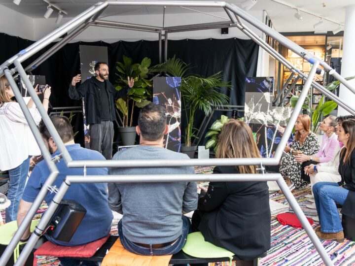 Interactuant amb les plantes