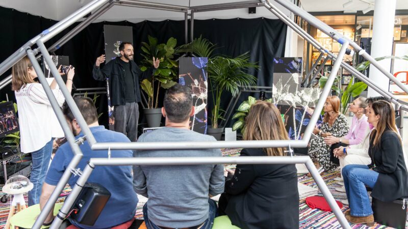 Interactuant amb les plantes