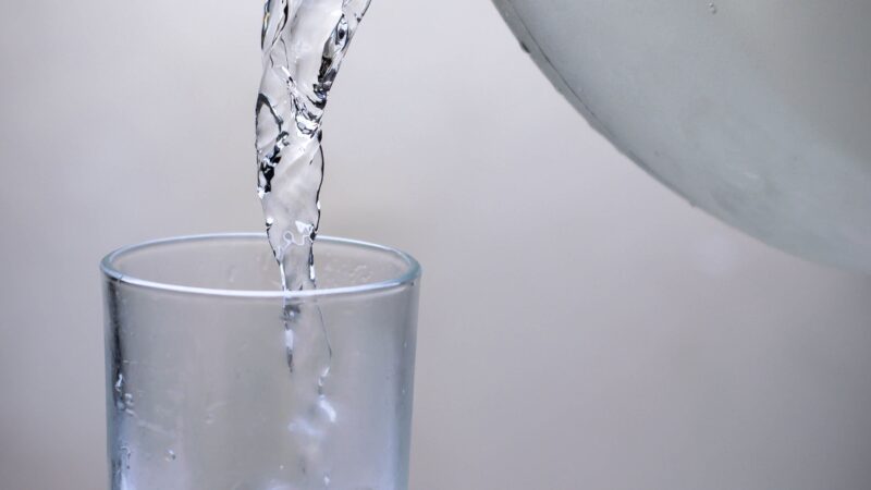 Quins són els millors aliments per combatre la calor?
