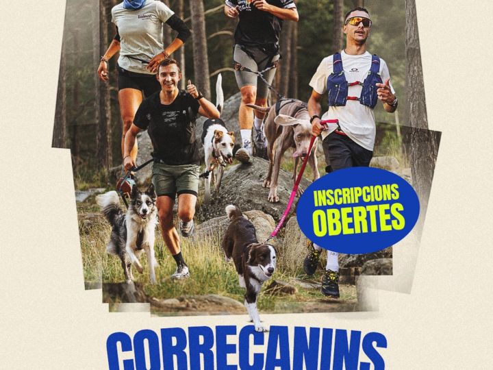 Canicròs a Encamp a l’octubre